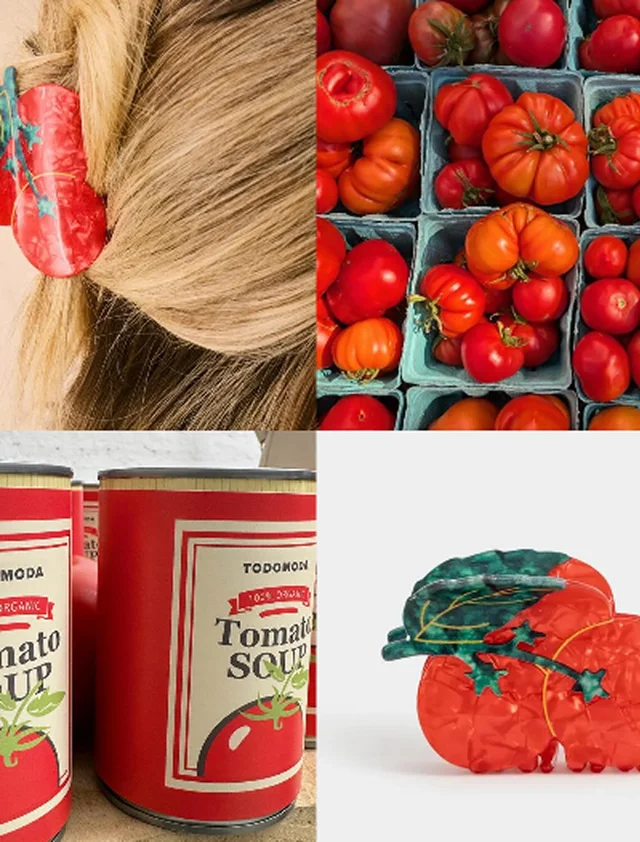 Imagem do feed do Instagram.