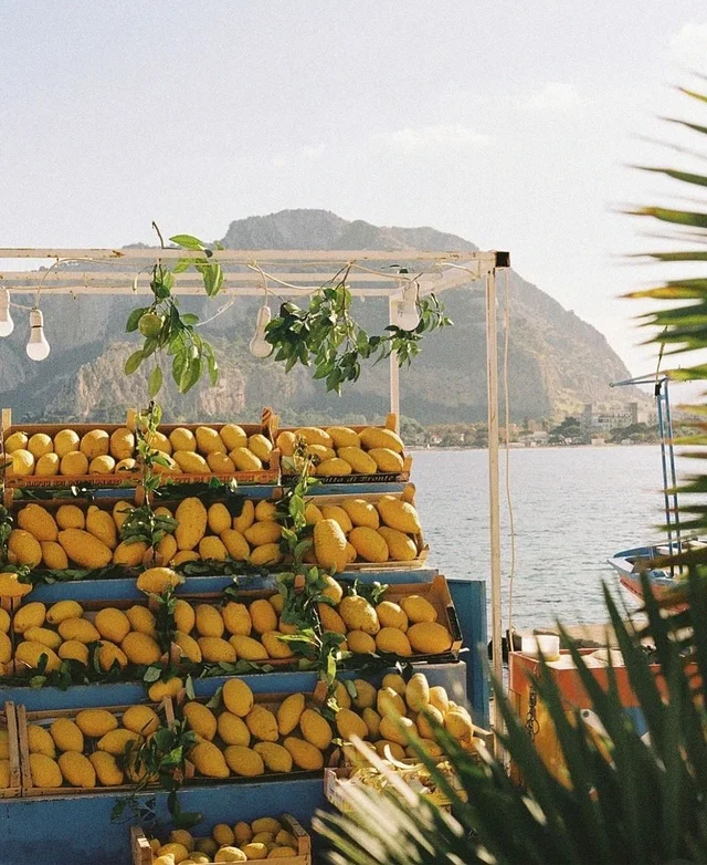 Imagem do feed do Instagram.