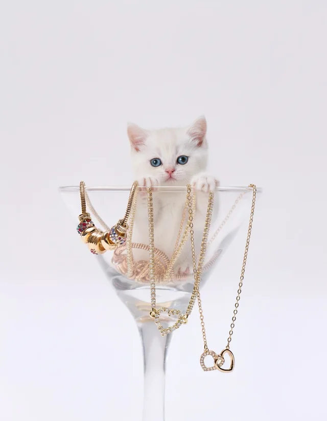 Imagem do feed do Instagram.