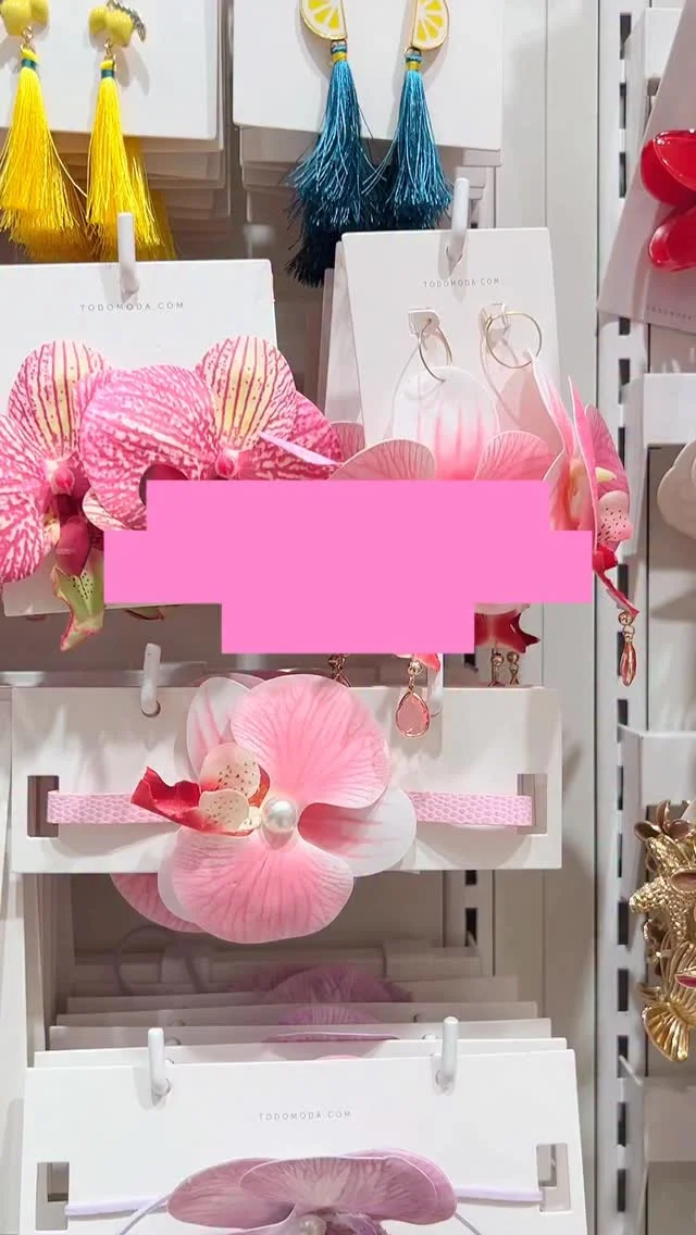 Imagem do feed do Instagram.