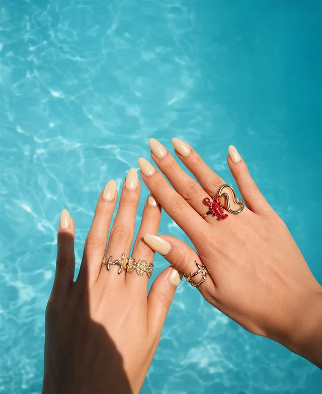 Imagem do feed do Instagram.