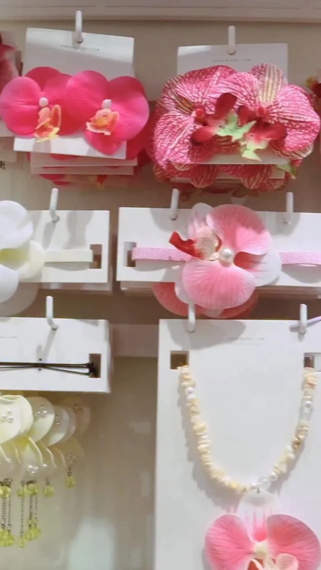 Imagem do feed do Instagram.