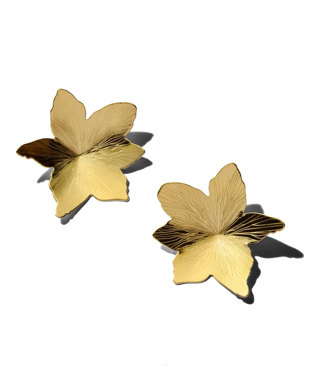 Imagem do feed do Instagram.