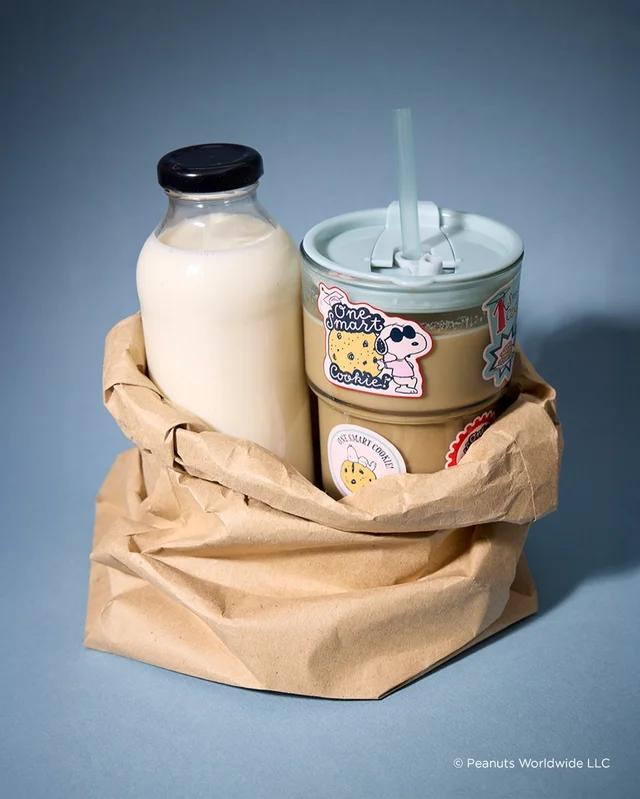 Imagem do feed do Instagram.