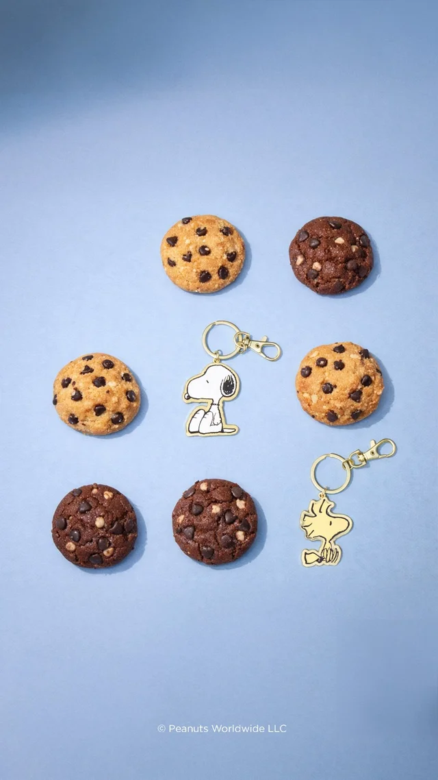 Imagem do feed do Instagram.